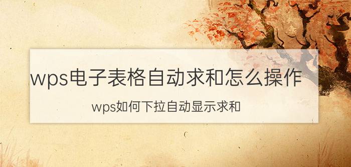 wps电子表格自动求和怎么操作 wps如何下拉自动显示求和？